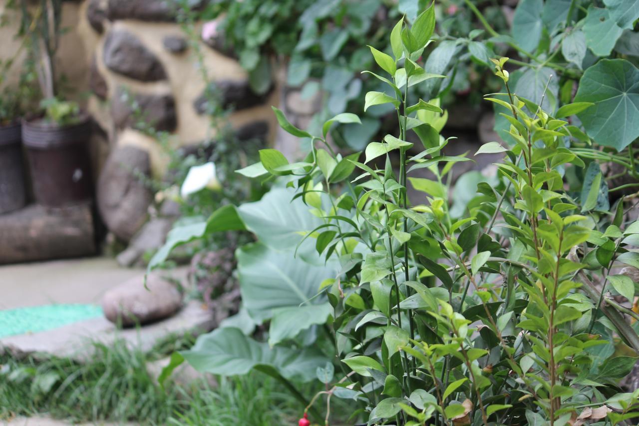 Killari B&B Ollantaytambo Buitenkant foto
