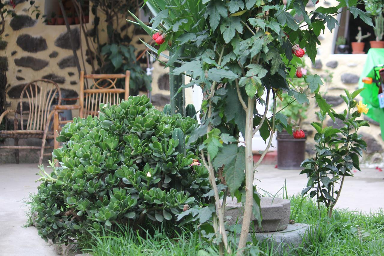 Killari B&B Ollantaytambo Buitenkant foto